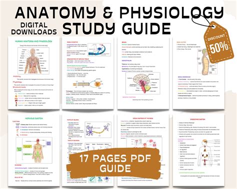 Anatomy Physiology Study Guide Physiology Notes Anatomy Notes Bundle