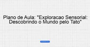 Plano de Aula Exploração Sensorial Descobrindo o Mundo pelo Tato