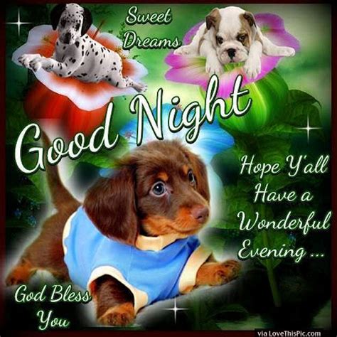 Good Night Sweet Dreams God Bless You Pictures Photos And Images For