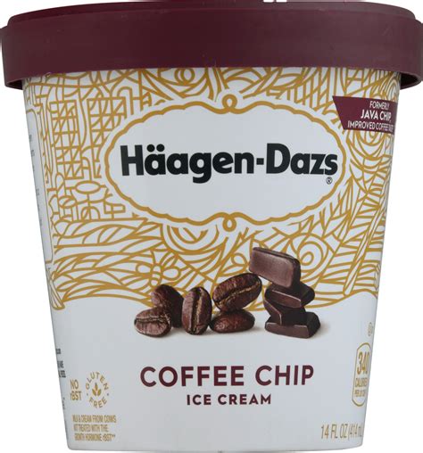 Haagen Dazs Ice Cream Coffee Chip Main