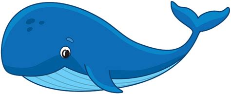 Whale Clipart Clip Art Library