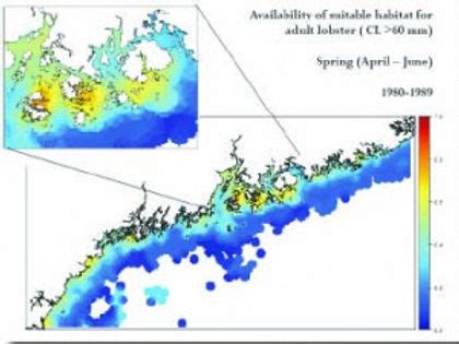 Maps show link between warmer water, lobster habitat