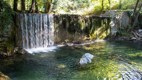 Bosco Magnano E Il Parco Avventura Del Pollino