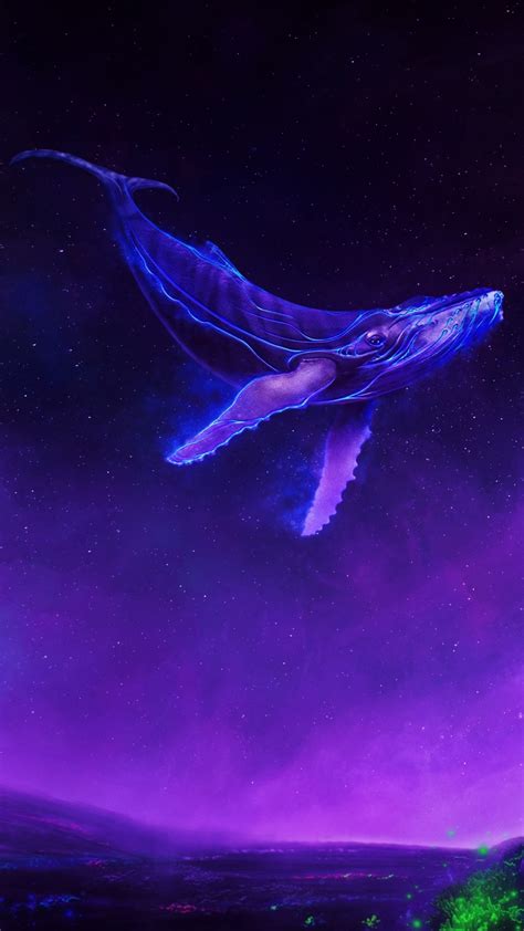 Whale Phone Wallpaper 1080p 2k 4k Full Hd Wallpapers Backgrounds Free Download Wallpaper