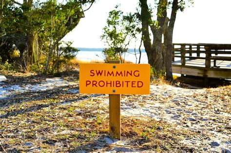 Premium Photo Warning Sign On Tree Trunk