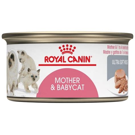 Pate Cho Mèo Mother Babycat hộp 195g Royal Canin Mother Babycat