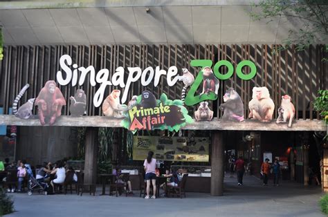 brentong balentong singapore zoo
