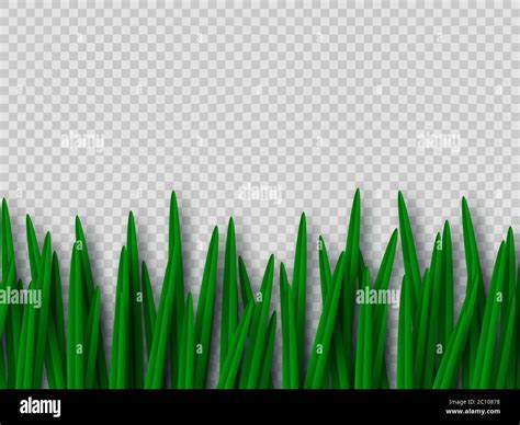 Vector Green Grass Border Stock Vector Image And Art Alamy