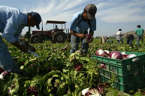 Darán impulso al trabajo agrícola en Querétaro Quadratin Querétaro