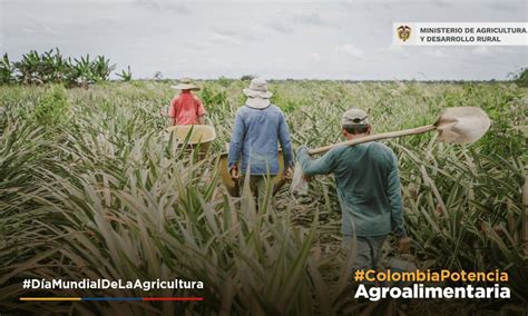 FAO Colombia On Twitter RT MinAgricultura Los Alimentos Llegan A