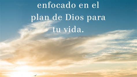 Que Es El Plan De Dios Para Mi Vida