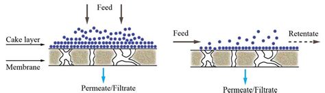 Dead End And Cross Flow Operation Modes During The Mf Uf Separation Download Scientific Diagram