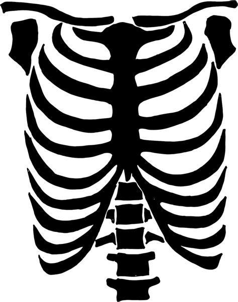 Skeleton Rib Cage Template Printable