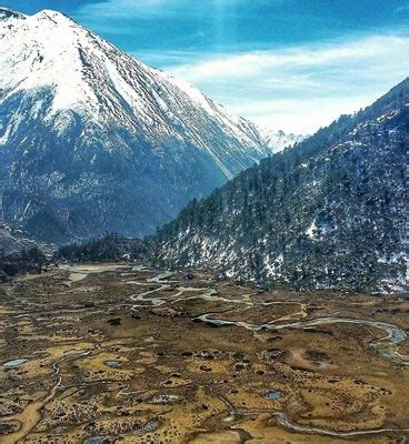 Chopta Valley, North Sikkim