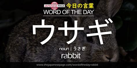 Beginner Word of the Day – ウサギ [rabbit] - Learn Japanese Online