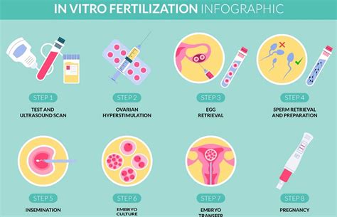 In Vitro Fertilization Prep Process Costs Success Rates And Risks