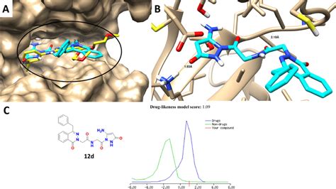 Binding Disposition And Molecular Docking Interactions Of The Docked