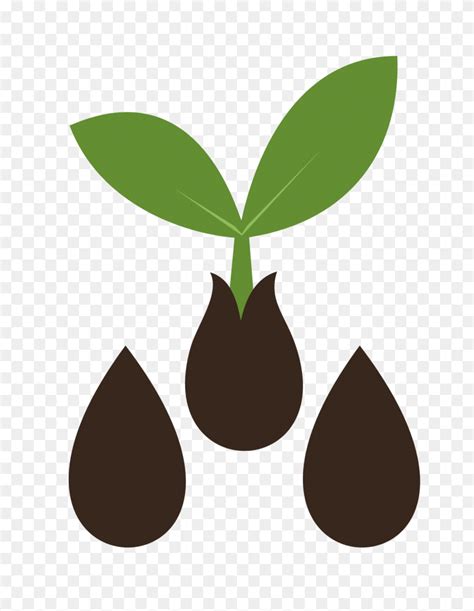 Seed Vector Hot Sex Picture