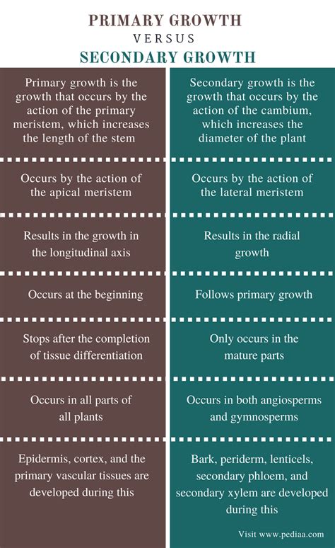 Difference Between Primary And Secondary Growth Definition