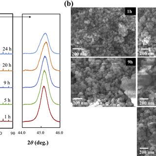 A Xrd Patterns And B Fe Sem Images Of The Bt Pvps Nanoparticles