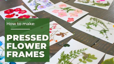 How To Make Pressed Flower Frames Youtube