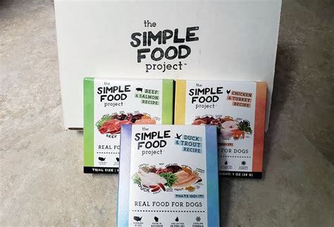 Simple Food Project Reviews 2024