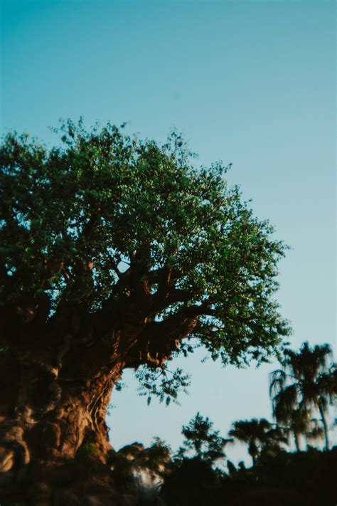 nick fuentes parents 2