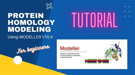 Protein Homology Modeling With Modeller For Beginners Youtube