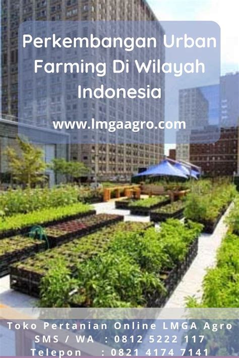 Perkembangan Urban Farming Di Wilayah Indonesia Menanam Sayuran