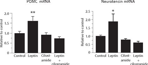 Figure 1 From Intracellular Leptin Signaling Pathways In Hypothalamic