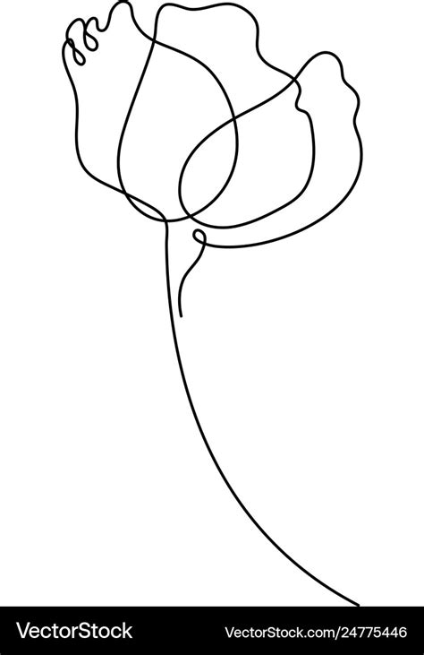 Flower Drawing In One Line Drawing Minimal Art Vector Image