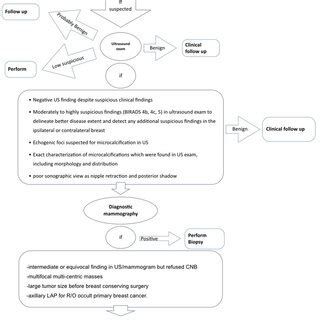 Flow Chart Screening And Diagnostic Approach In Patients Aged