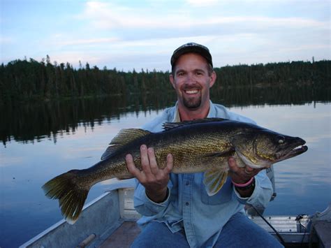 Canadas Best Fly In Walleye Fishing Trips And Tips For 2024