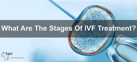 In Vitro Fertilization IVF A Comprehensive Guide