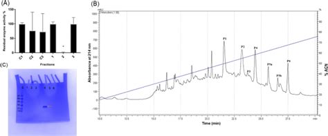 Spiders Digestive System As A Source Of Trypsin Inhibitors Functional