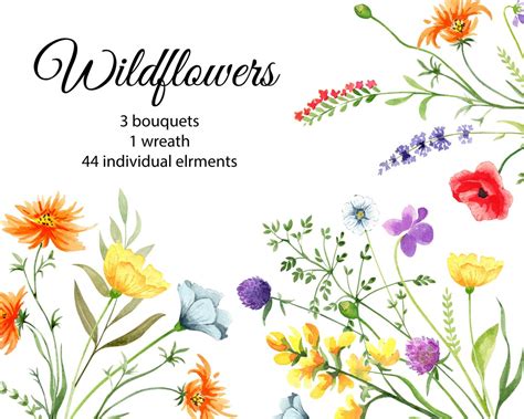 Wildflowers Watercolor Clipart Bright Floral Spring Summer Wildflower