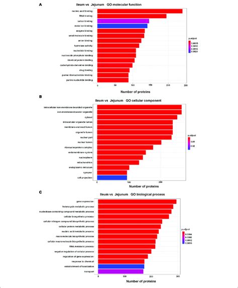 Top 15 Of GO Enrichment Analysis In Differentially Expressed Proteins