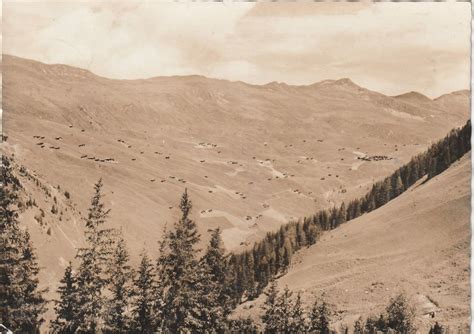 Fondel Das Sch Ne Bergtal Bei Langwies Kaufen Auf Ricardo