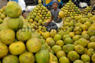 Pedagang Buah Di Pasar Induk Kramat Jati Jakarta Datatempo