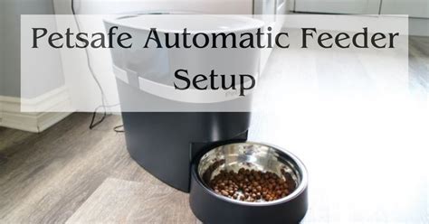 Petsafe Automatic Feeder Setup - Expert Best Guides