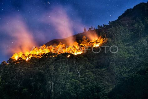 Kebakaran Hutan Lereng Gunung Sipiso Piso Antara Foto