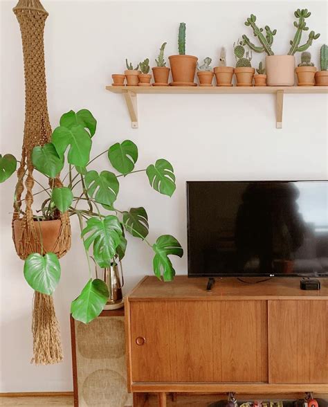 Interior Blogger📍la On Instagram This Giant Macrame Plant Hanger And