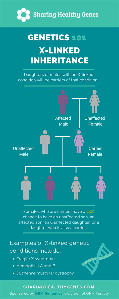 What Is X Linked Inheritance Sharing Healthy Genes