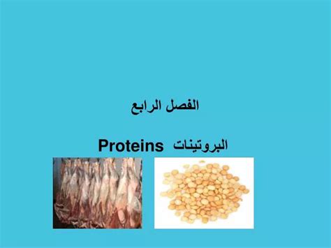 Ppt الفصل الرابع البروتينات Proteins Powerpoint Presentation Id2974891