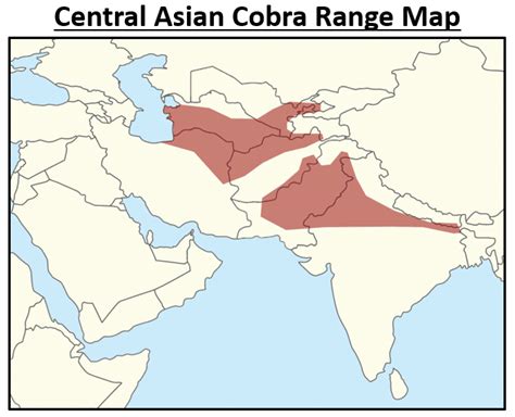 9 Common Snakes In Afghanistan 2025 Bird Watching Hq