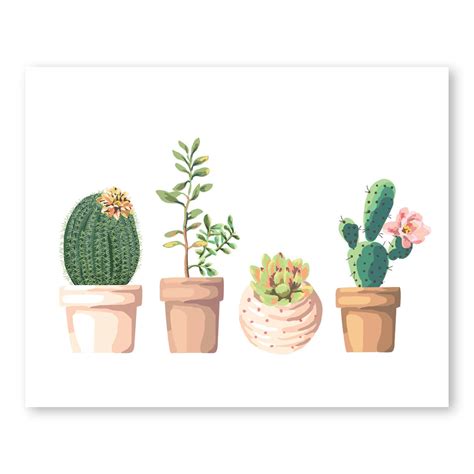 Potted Cactus Art Succulent Illustration Succulent Print Etsy