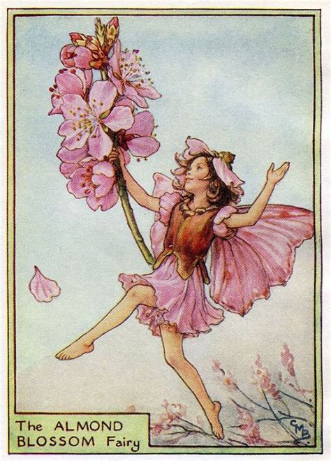 Almond Blossom Flower Fairy Vintage Print C 1950 Cicely Mary Barker