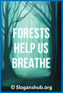 Catchy Save Forest Slogans