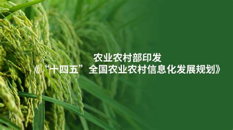 行业资讯｜农业农村部印发《“十四五”全国农业农村信息化发展规划》 脉脉