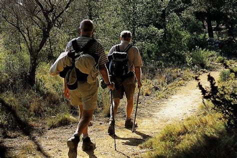 Actividades Para Disfrutar De Turismo Rural